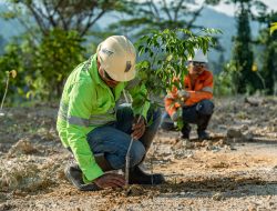 Bukan Sekadar Produksi, NHM Fokus Pulihkan Ekosistem Pascatambang
