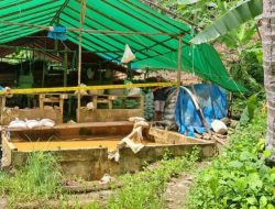 Polres Proses Pelaku Tambang Ilegal di Halsel