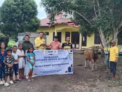 Semangat Berbagi di Hari Raya Idul Adha, NHM Distribusikan 66 Hewan Kurban di Wilayah Lingkar Tambang