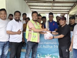 Iduladha 1447 H: Tebar Berkah, Harita Nickel Salurkan 46 Hewan Kurban dari Pulau Obi hingga Ternate