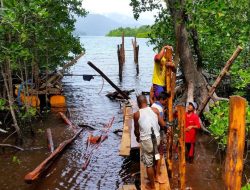 Kadispar Halsel Terlibat, Aktifitas Kusu Island Resort Banyak Ilegal