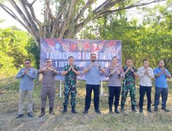 Kodim 1509 Labuha Targetkan Penanaman 100.000 Pohon Sukun di Halsel