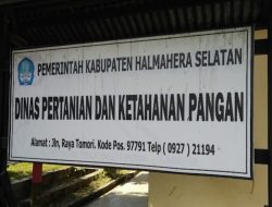 LHP BPK Malut Terungkap Rp 1.6 Milyar Anggaran Pengadaan Bibit Ternak Distan Halsel Bermassalah