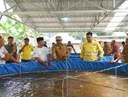 Hasilkan 2 Ton Ikan, Panen Raya Perdana Sadaka Farm Jadi Bukti Sukses Sinergi Pemberdayaan NHM & Pemda Halmahera Utara 