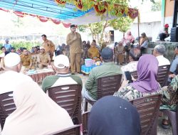 Pemkab Halsel Salurkan 550 Ribu Bibit Kepala Varietas kepada 200 Kelompok Tani di 23 Kecamatan