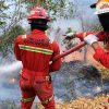 NHM Perkuat Kesiapsiagaan Hadapi Karhutla dengan Respons Terpadu dan Berlapis