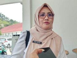 Dinkes Halsel Perbolehkan Puskesmas Pungut Tarif Pasien Umum Non BPJS