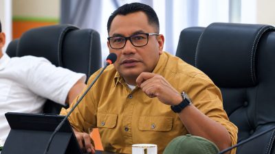 MENATA DATA PENDUDUK, MENENTUKAN MASA DEPAN HALMAHERA SELATAN